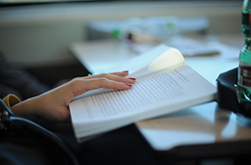 Celebrating Literature in STEM Education image