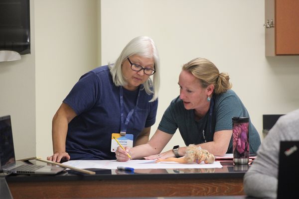 Two educators work on a middle grade physics problem in effective teacher professional development at a NMSI training in Fort Worth, Texas 2024.