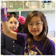 Bring STEM Home for the Holidays image