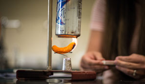 NMSI Summer Training Gives Teachers New Strategies for Effective Instruction in STEM, English Courses image