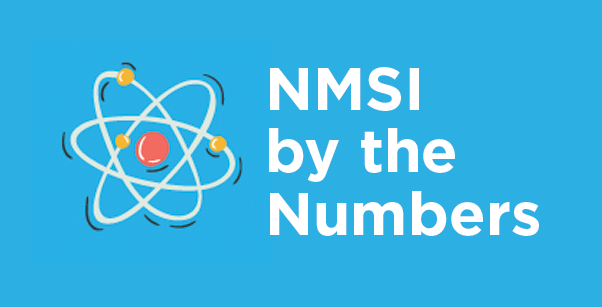NMSI By the Numbers