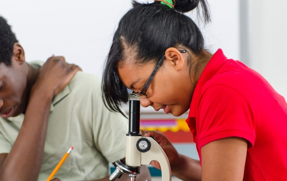 Understanding the Gap: Math and Science Education in Underserved Communities image