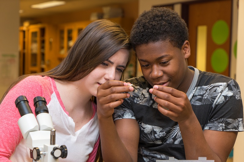 NMSI Boosts Math and Science Success, Particularly for Females and Underrepresented Students image