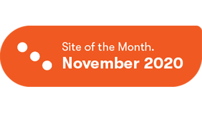 NMSI Earns International Website Recognition image