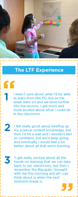 The LTF Experience Examples